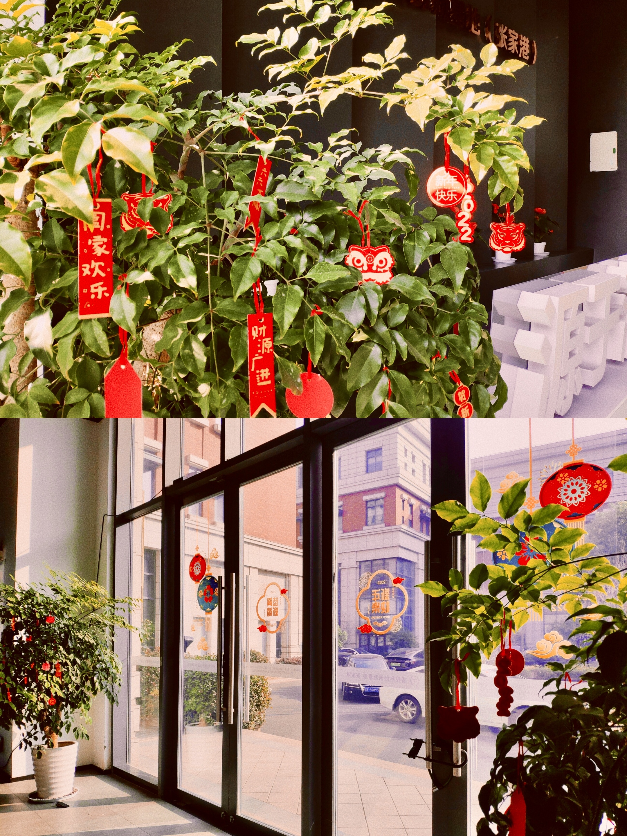 غطاء البطانة